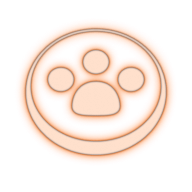 What is Dora Factory?